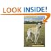 Pet Owner's Guide to the Lurcher