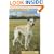 Pet Owner's Guide to the Lurcher