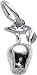 Jewelry : Apple Charm by Rembrandt Charms