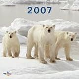 Produkt-Bild: Polar Bears, Brosch&uuml;renkalender