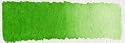 Schmincke Watercolors Sap Green 15 ml tube