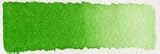 Schmincke Sap Green 1/2 pan watercolor