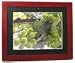 10.4 Digital Photo Frame-1040B