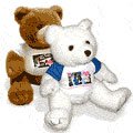 21AI02pZJwL Custom Teddy Bear (1 qty). Upload your photo to customize the bears t shirt online.
