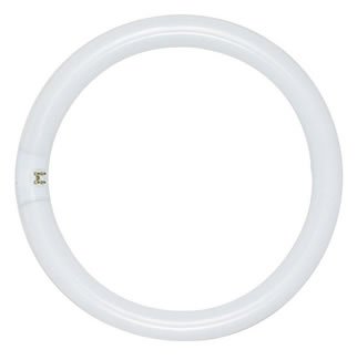 Satco S6502 3000K 22-Watt Warm White
