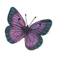 Butterfly 8 Glitter Temporary Tattoo 2x2