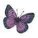 Butterfly 8 Glitter Temporary Tattoo 2x2