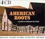 American Roots: History American Folk Music
