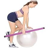12 lb Body Toning Bar, purple