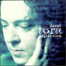 Revue David Torn  / The Collection