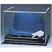 Buffalo Bills Collectors Hat Display Case