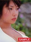 HCL-527 MEGUMIカレンダー