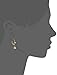 Sorrelli Classic Teardrop French Wire Earrings