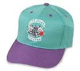 Charlotte Hornets Youth Cap by New Era