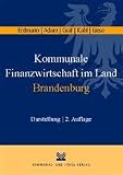 : Kommunale Finanzwirtschaft im Land Brandenburg: Darstellung