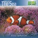 Discovery Channel Beneath The Sea 2009 Wall Calendar