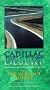 Cadillac Desert: The Mercy of Nature (Water and the Transformation of Nature) [VHS]