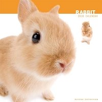 2010年度版 THE RABBIT カレンダー