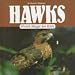 Hawk Magic for Kids (Animal Magic for Kids) by Sumner W. Matteson ISBN 0836813758