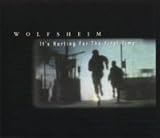 It`s Hurting for the First Time by Wolfsheim