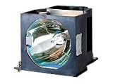 Panasonic ET LAD7500W - projector lamp unit - 2 PACK ( ET-LAD7500W )