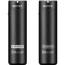 Sony ECMAW4 Wireless Microphone (Black)
