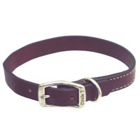 Circle T Leather Collar- 3/4" width