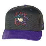 Minor League Baseball Cap - Wichita Wranglers Batting Practice Cap by New Era