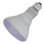 GE 20996 65-Watt R30 Plant Flood Light Bulb, Plant Light