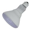 GE 20996 65-Watt R30 Plant Flood Light Bulb, Plant Light