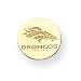 14K Denver Broncos Disc Horsehead Name Tie Tac