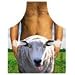 Sheep Apron