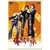 �������̗� VOL.11 [DVD]