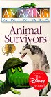 Animal Survivors