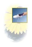 Magnetic Shoe Insoles-Men's sizes 7-9