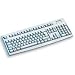 Cherry G83-6105 LPNNL-0 Tastatur PS/2 105 Tasten MS W95 NL Hellgrau