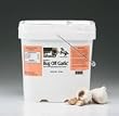 Bug Off Garlic Powder 1 lb from Springtime