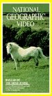 Ballard of the Irish Horse - A romantic portrait of the people and their beloved horses on the Emerald Isle (National Geographic Video) [VHS]