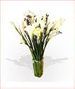 20 Stunning Calla Lilies