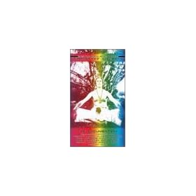 Beyond Life With Timothy Leary [VHS]