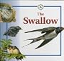 The Swallow (Life Cycles (Raintree Hardcover))