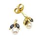 Sapphire & Pearl Earrings in 14K Yellow Gold
