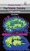 Book Pocket Guide to Psychiatric Nursing (Pocket Guide)