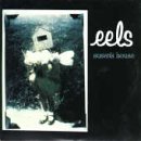 Eels Foto 9