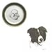 Border Collie 6' Green Plate, Porcelain by Rosalinde (6' diameter)