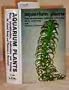 Aquarium Plants: Their Identification, Cultivation and Ecology/H-966