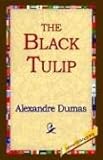 The Black Tulip