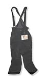 W's Shelter Bib Snow Pant