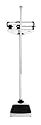 Seca 700 Physician's Balance Beam Scale with Height Rod
