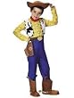 CHILD DELUXE WOODY Costume Officially Trademarked Costume from Toy Story